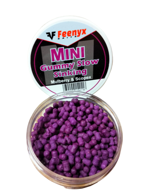 FEENYX Mini Gummy Mulberry 2