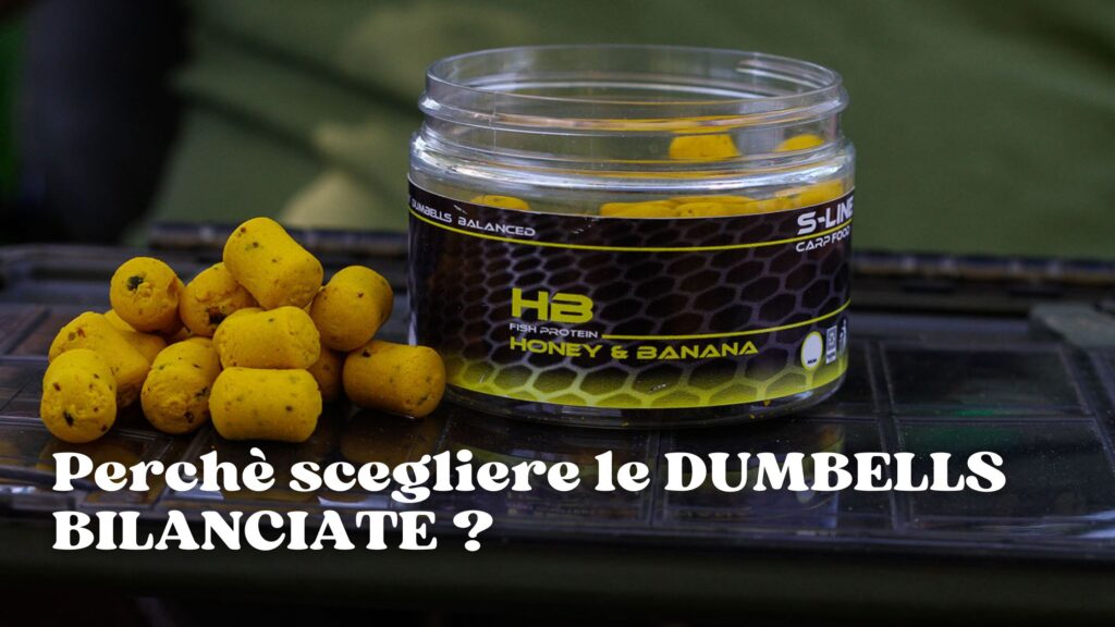 Scegliere le Dumbells Bilanciate perfette per un'entrata in pesca rapida e duratura! - fISHING aCCADEMY