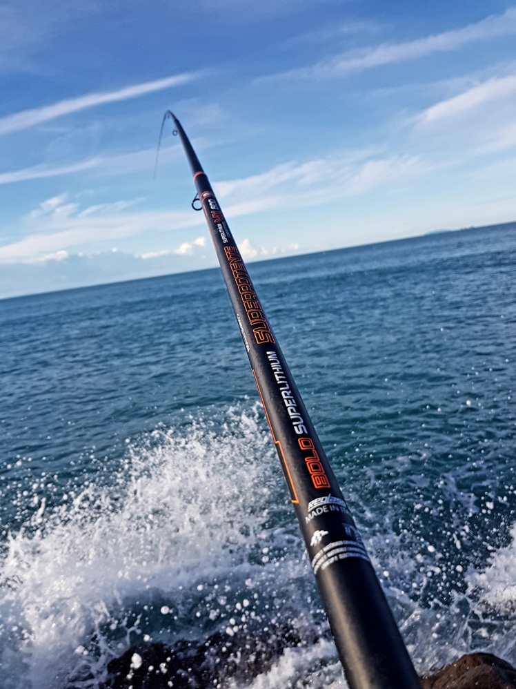 Pesca a Bolognese - Articolo di Blog - Fishing Accademy