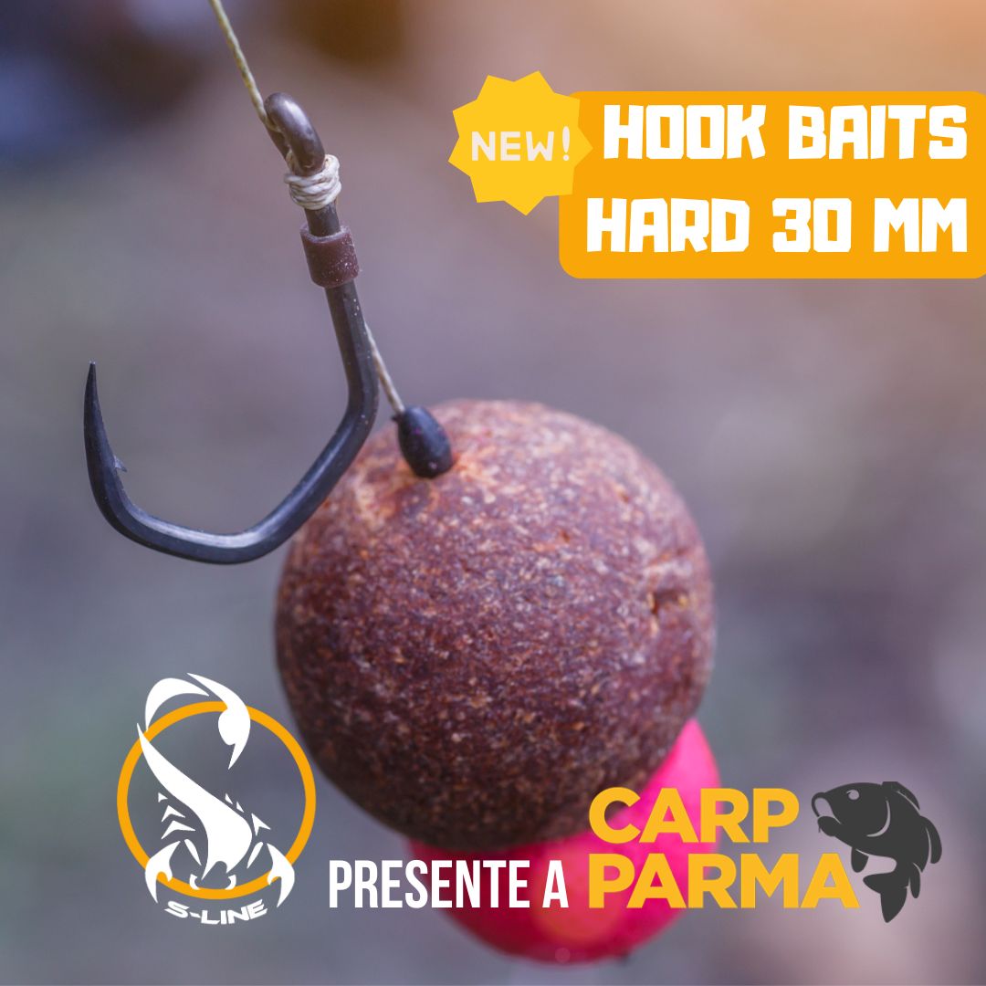 Prodotti OFFERTA Carp Parma 11- Fishing Accademy