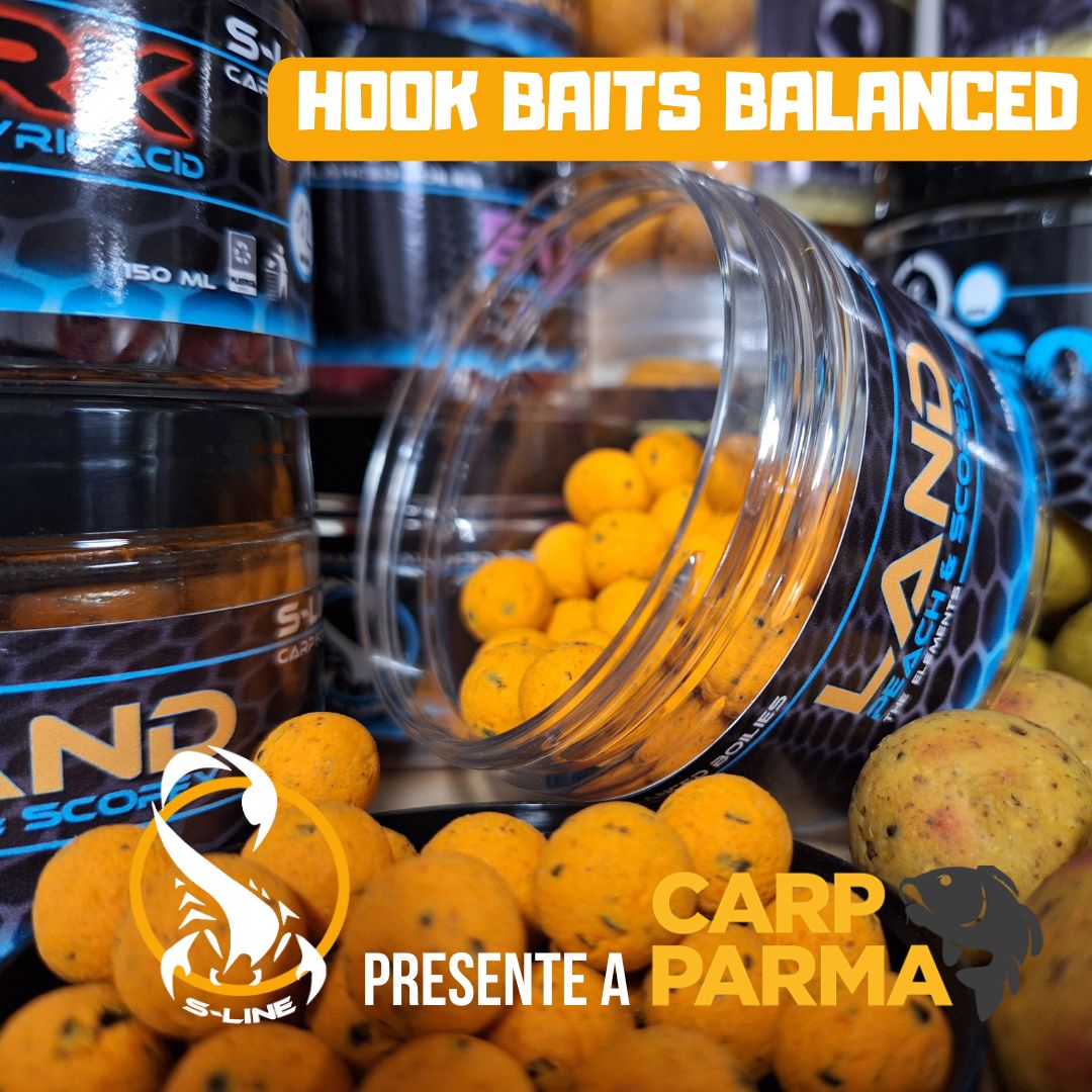 Prodotti OFFERTA Carp Parma 6- Fishing Accademy